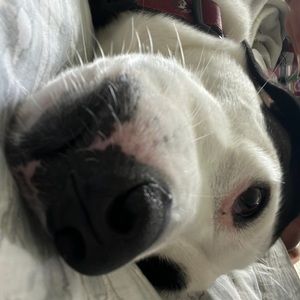 Meet your Posher, Evan